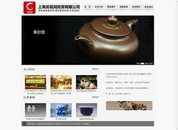 上海網(wǎng)絡(luò)營(yíng)銷(xiāo)案例集錦 從網(wǎng)站建設(shè)到整合推廣的精算師式成功實(shí)踐